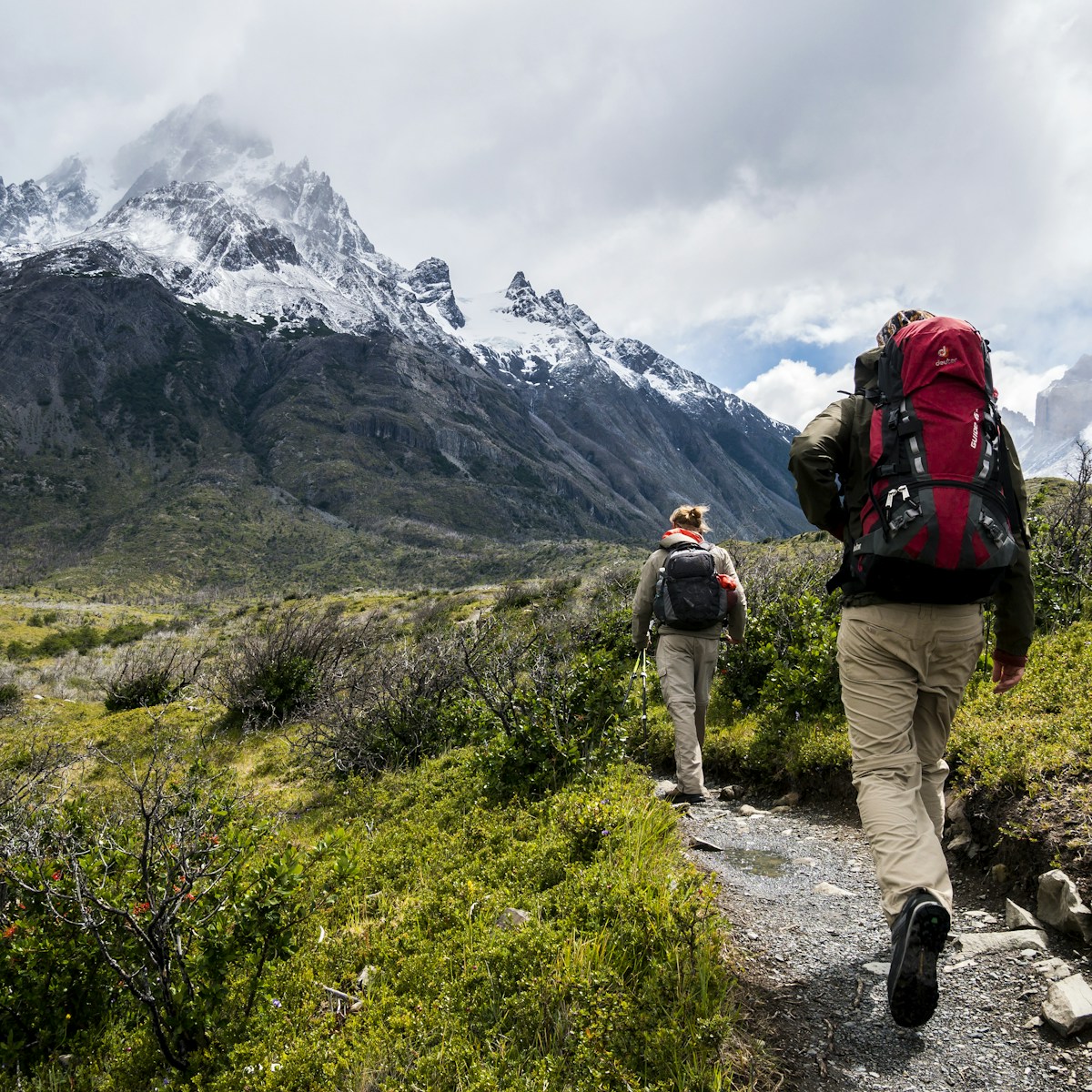 Summit Carbon Hiking Poles - Image 1